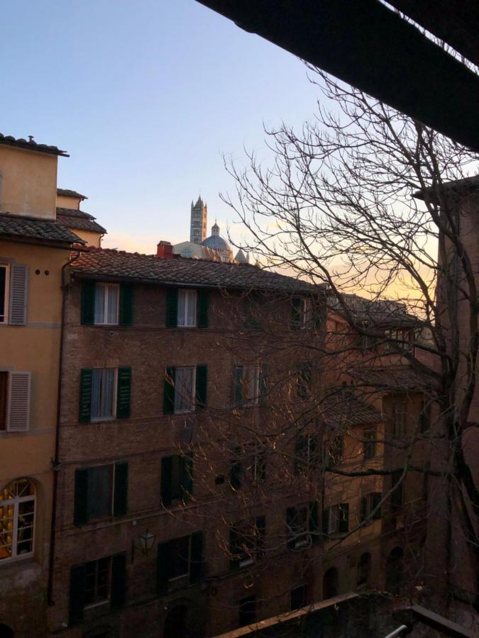 Teresa 91, Appartamento Incantevole Vista Duomo Siena Exterior foto